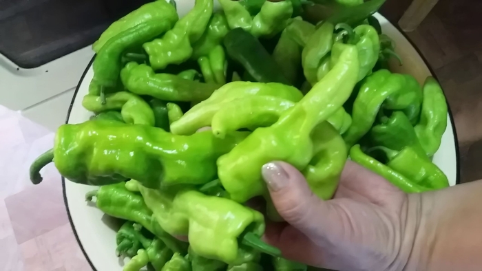 Перец острый дунганский