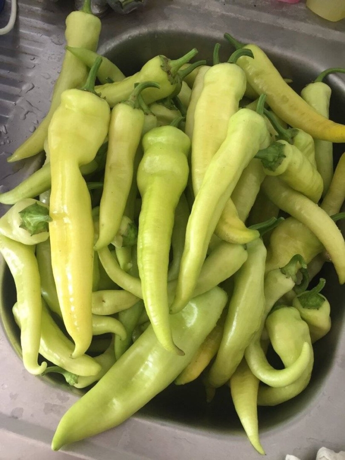 Армянский горький перец цицак