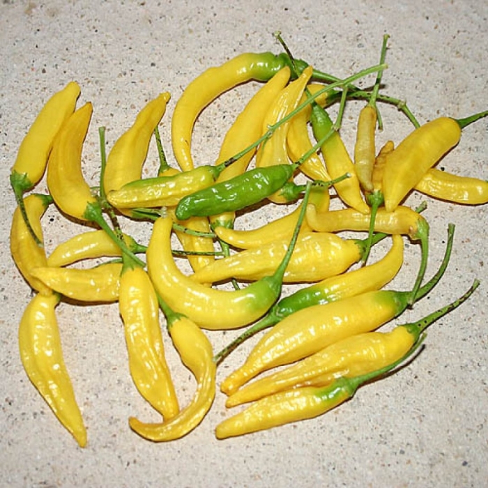 Острый перец желтый цицак
