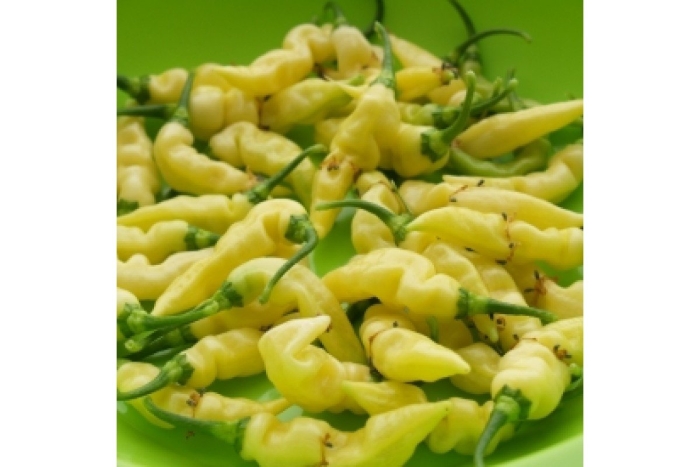 Фатали перец острый