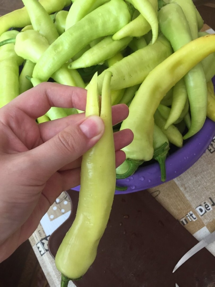 Сорт перца цицак