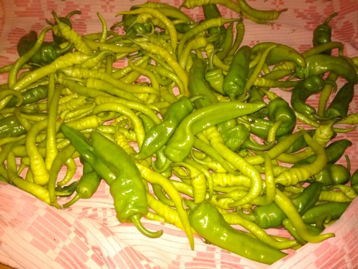 Перец kil sivri biber