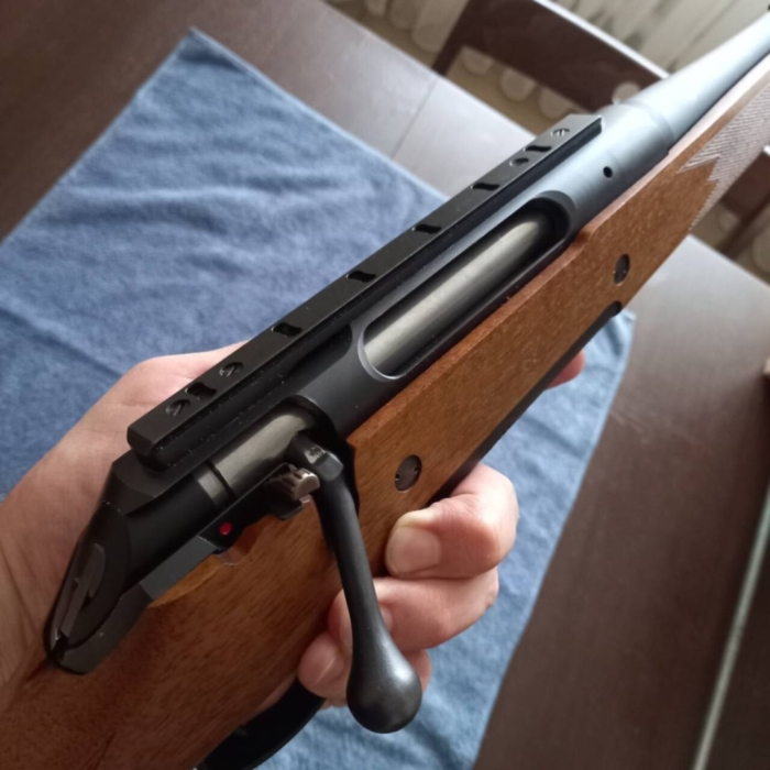 Болтовой карабин