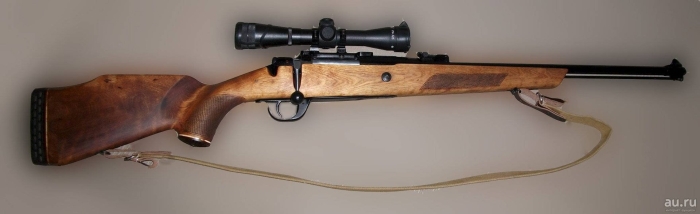 Карабин лось 308