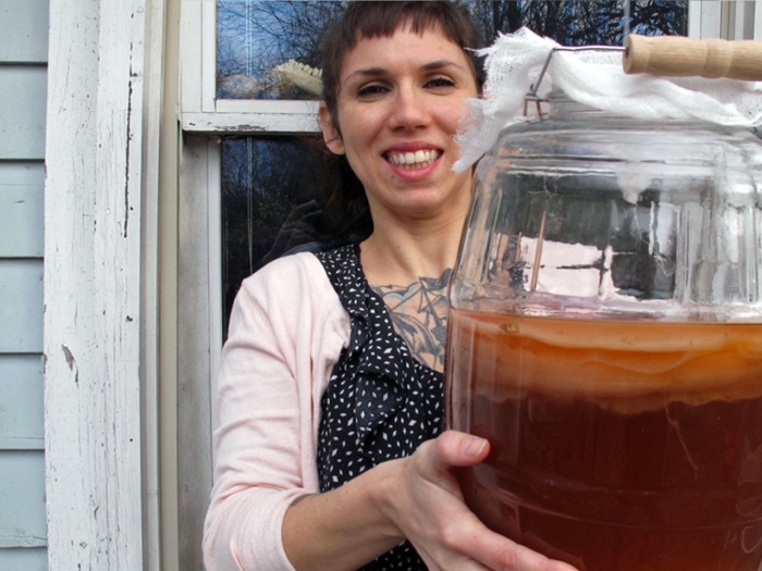 Живой чайный гриб комбуча