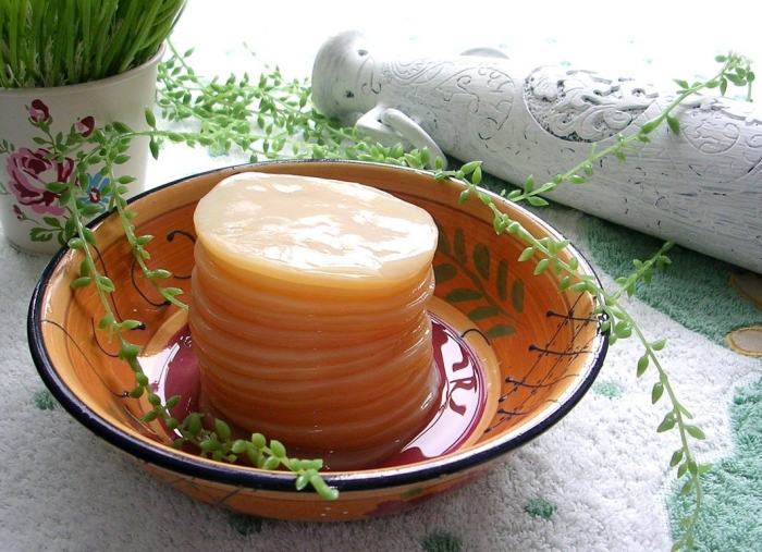 Чайный гриб полезные свойства