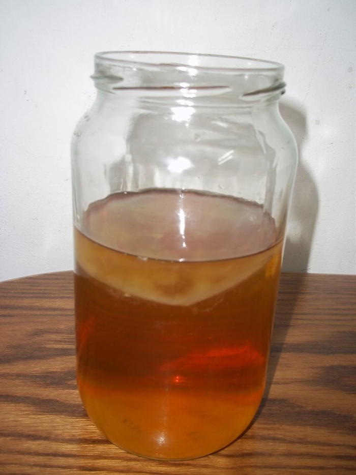 Чайный гриб или комбуча