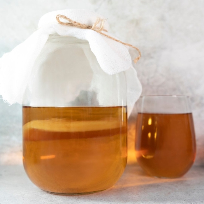 Чайный гриб с нуля