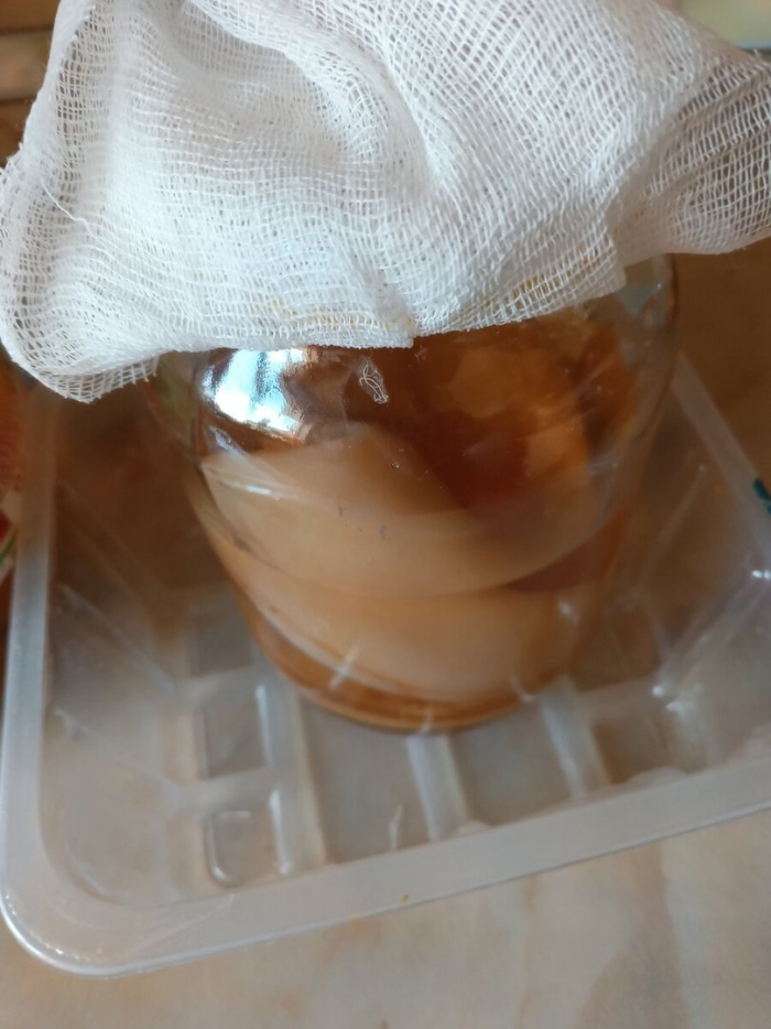 Гриб в банке