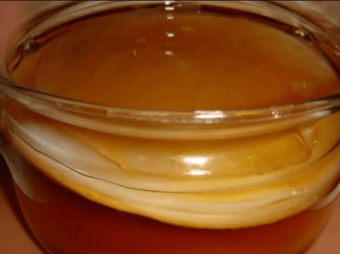 Чайный гриб комбуча в живом виде