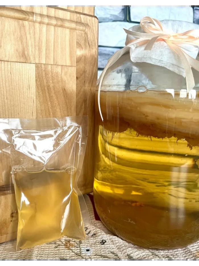 Kombucha чайный гриб