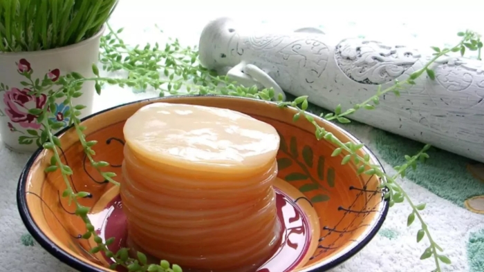 Чайный гриб медуза