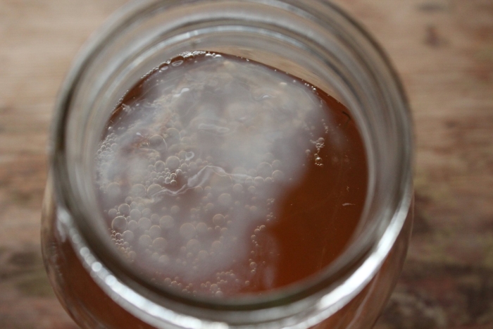 Плесень на чайном грибе