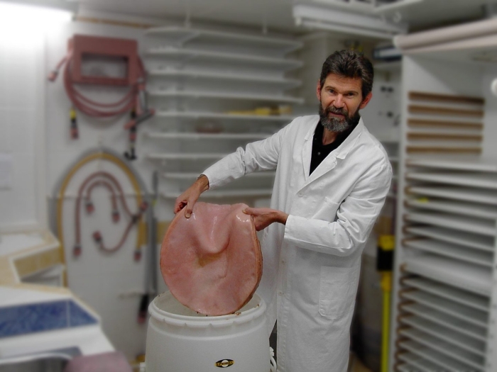 Гигантский чайный гриб