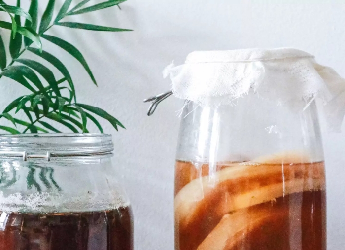 Чайный гриб комбуча