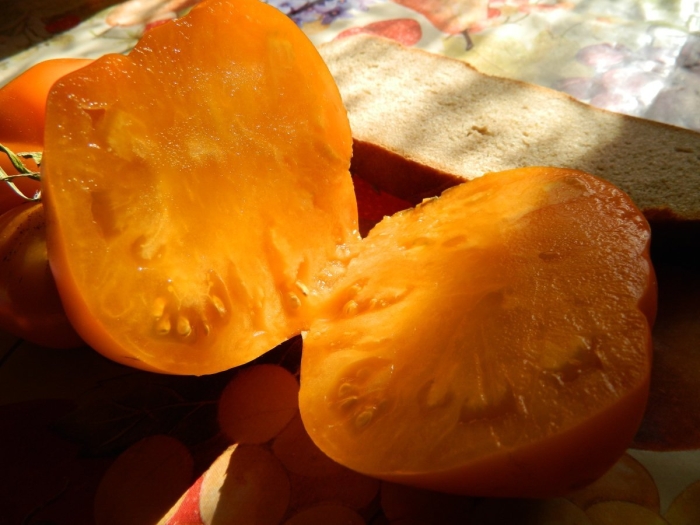 Томат бычье сердце персиковое