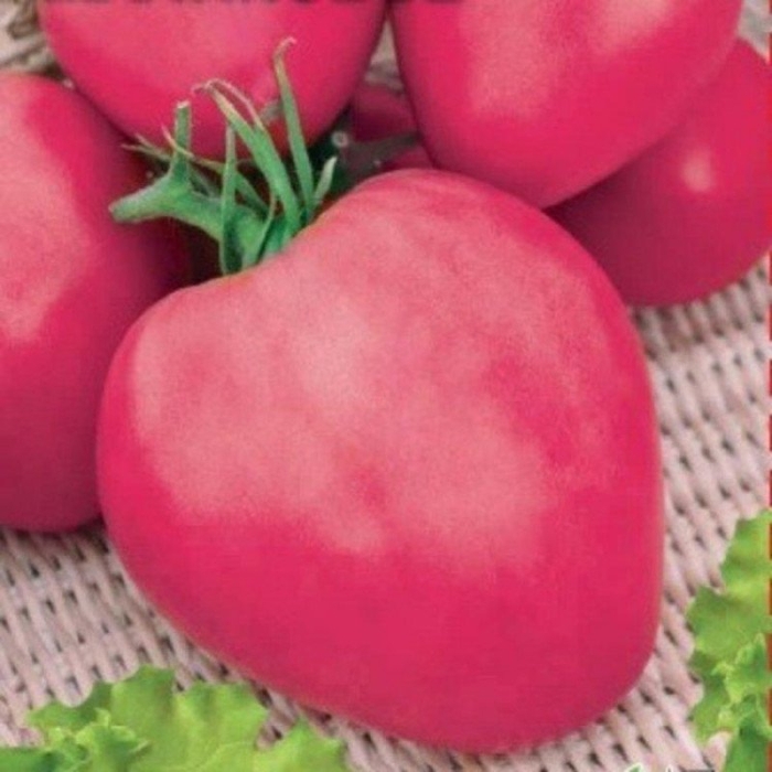 Томат бычье сердце малиновое седек