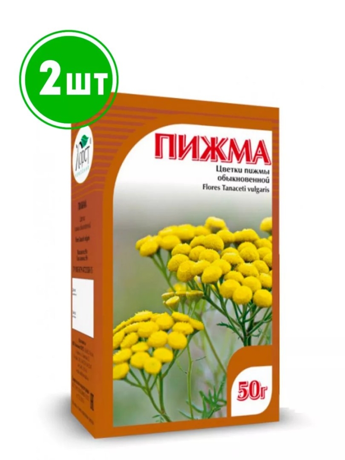 Пижма обыкновенная