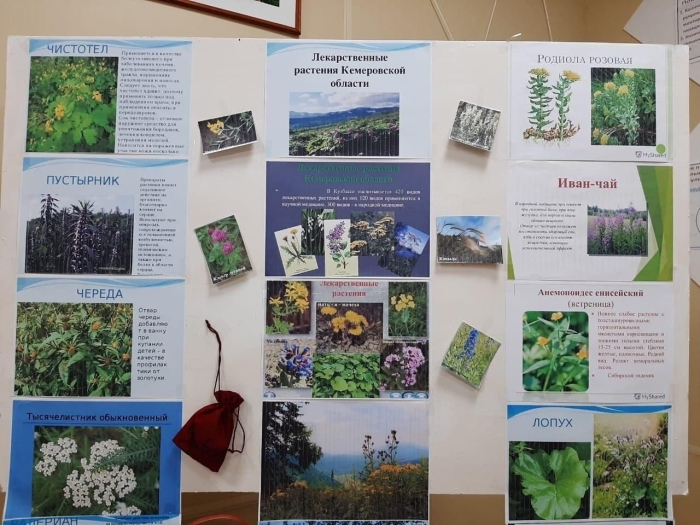 Выставка лекарственных растений