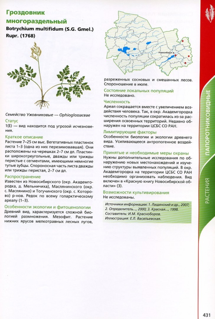 Растения из красной книги новосибирской области