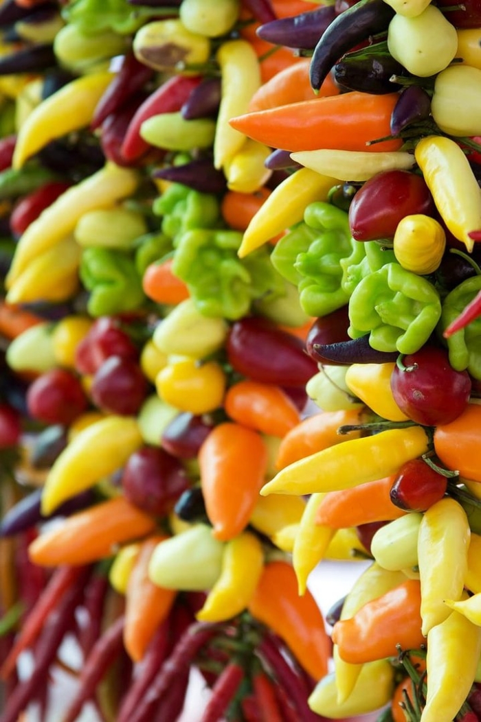 Разноцветный перец