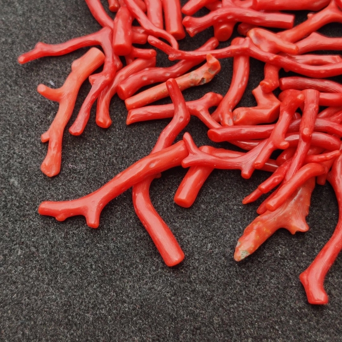 Красный коралл камень