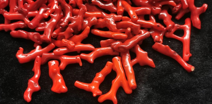 Красный коралл минерал