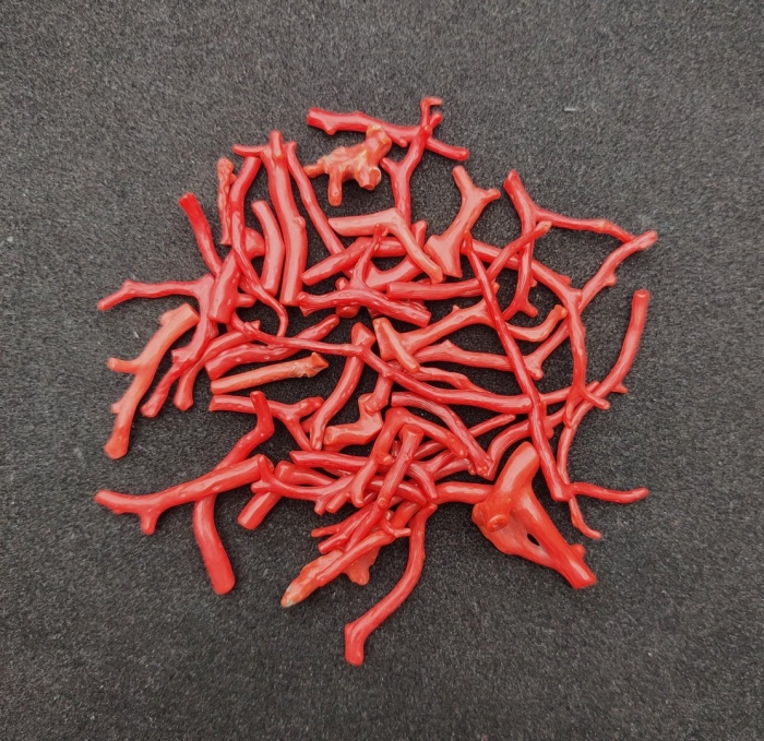 Веточка красного коралла
