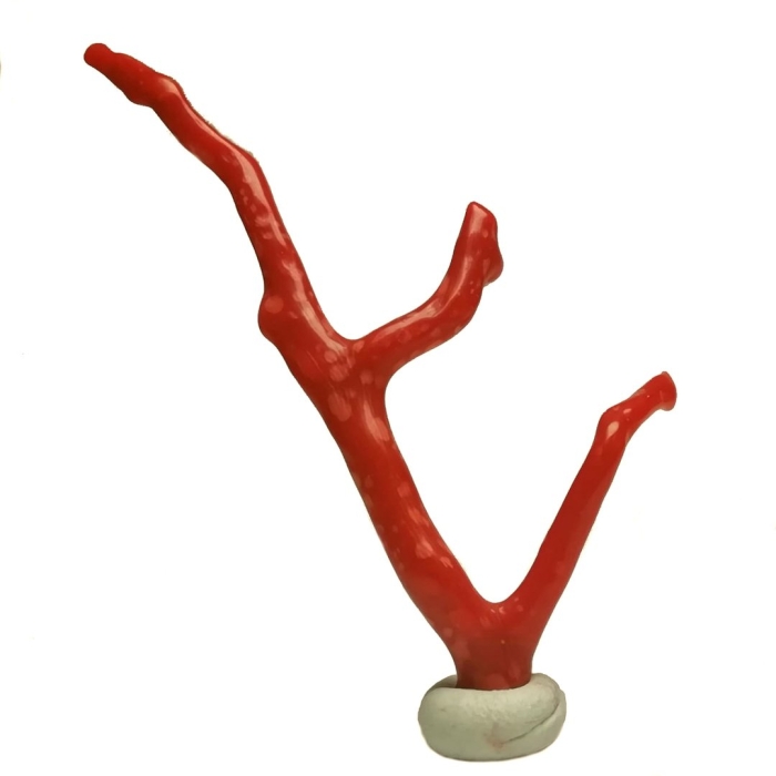 Коралл красный