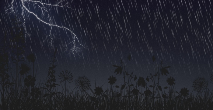 Дождь в лесу ночью