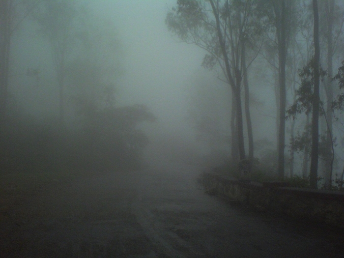 Жуткий туман