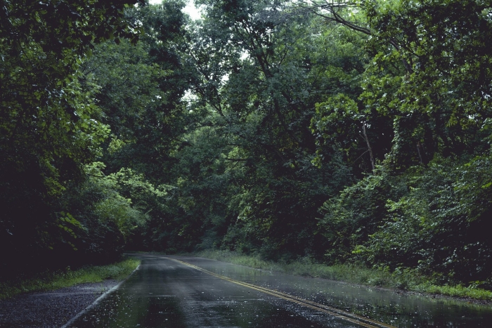 Дорога после дождя