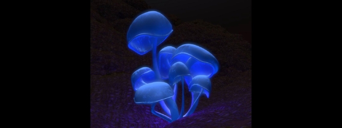 Люминесцентные грибы