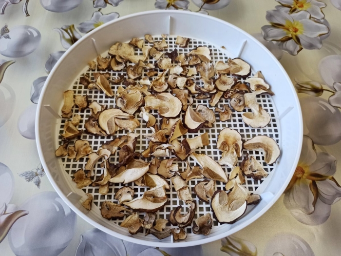 Сушилка изидри сушка грибов