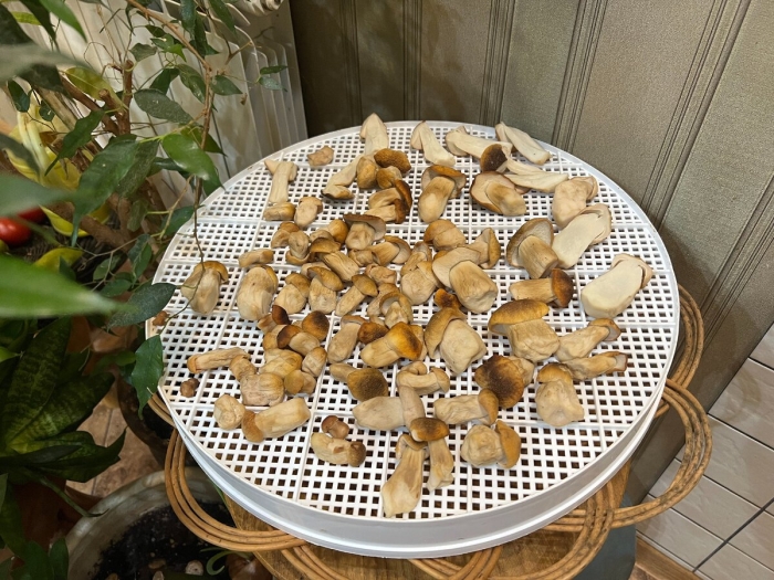 Сушка овощей