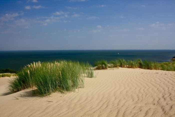 Дюны калининград куршская коса