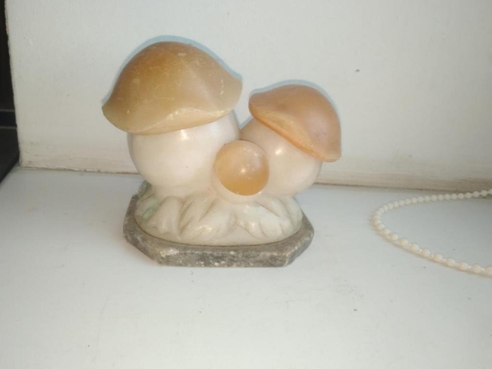 Грибы из камня ссср