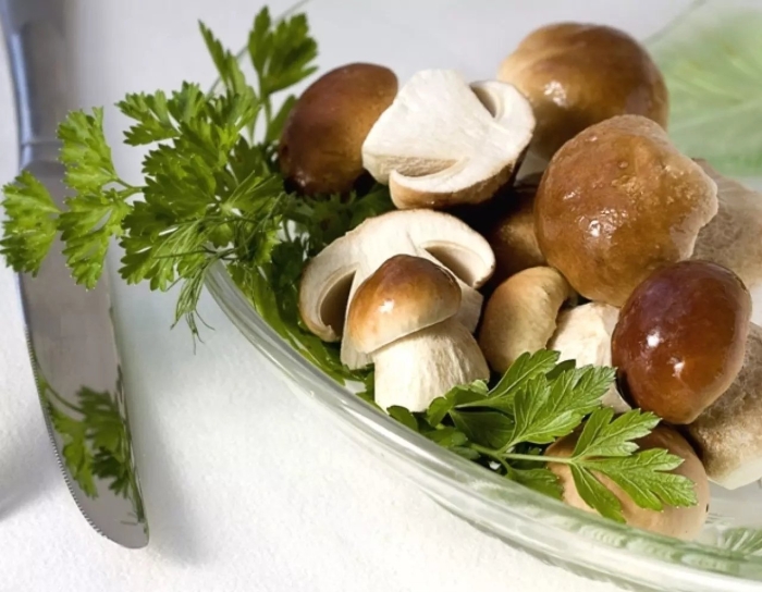 Белые грибы