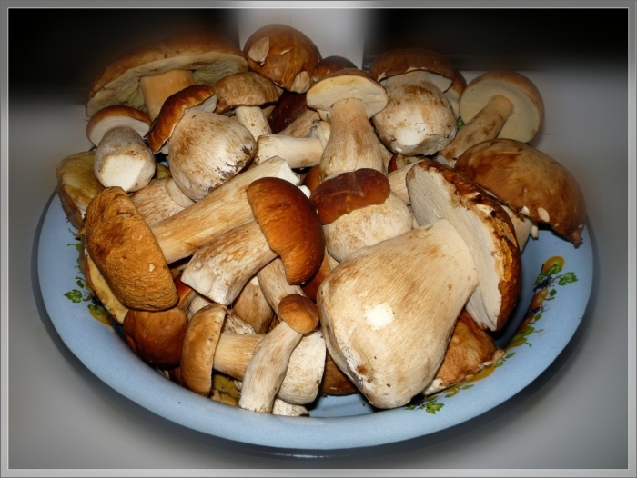 Ведро белых грибов