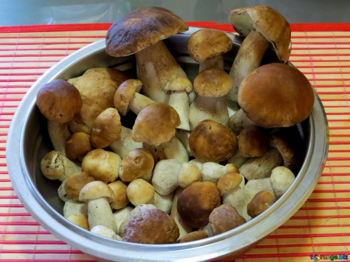 Белые грибы на столе