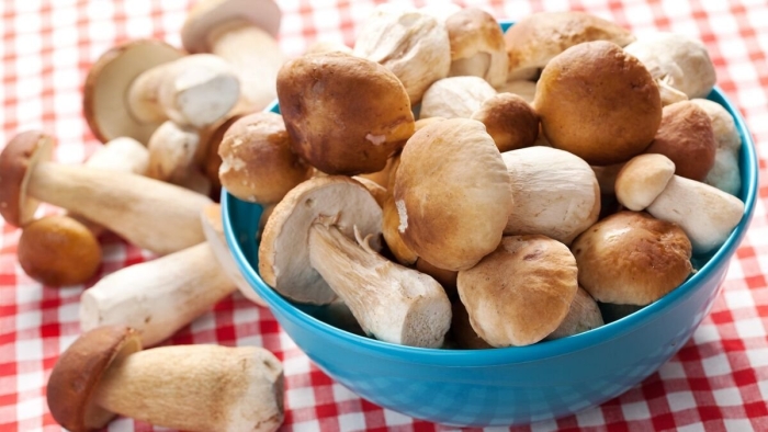 Свежие грибы