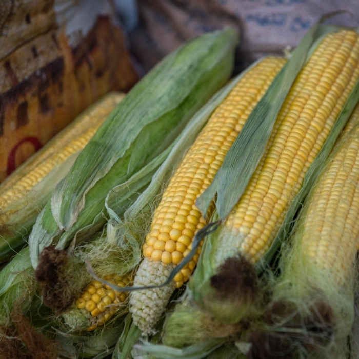 Кукуруза овощ