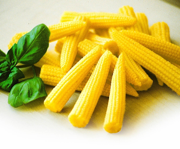 Кукуруза сахарная миниголд