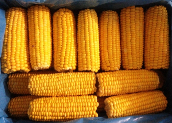 Кукуруза початки свежемороженая