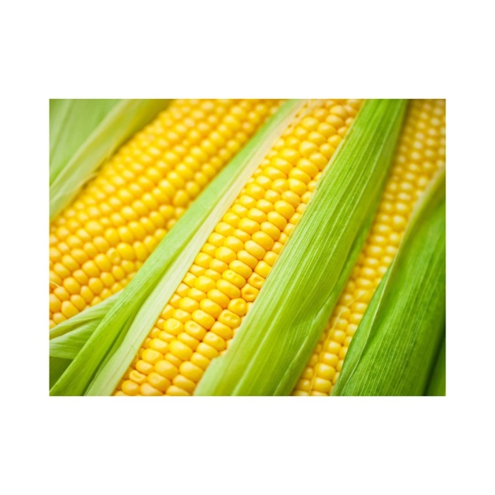 Фалькон кукуруза