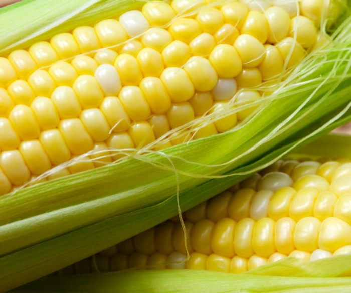 Кукуруза саммер свит