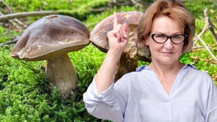 Грибы белый гриб