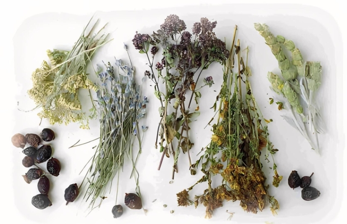 Лекарственная трава