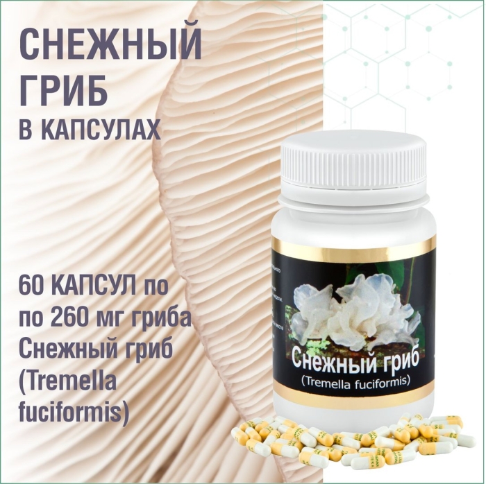 Капсулы гриб