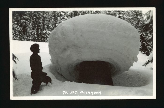 Гриб из снега